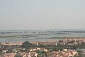 camargue